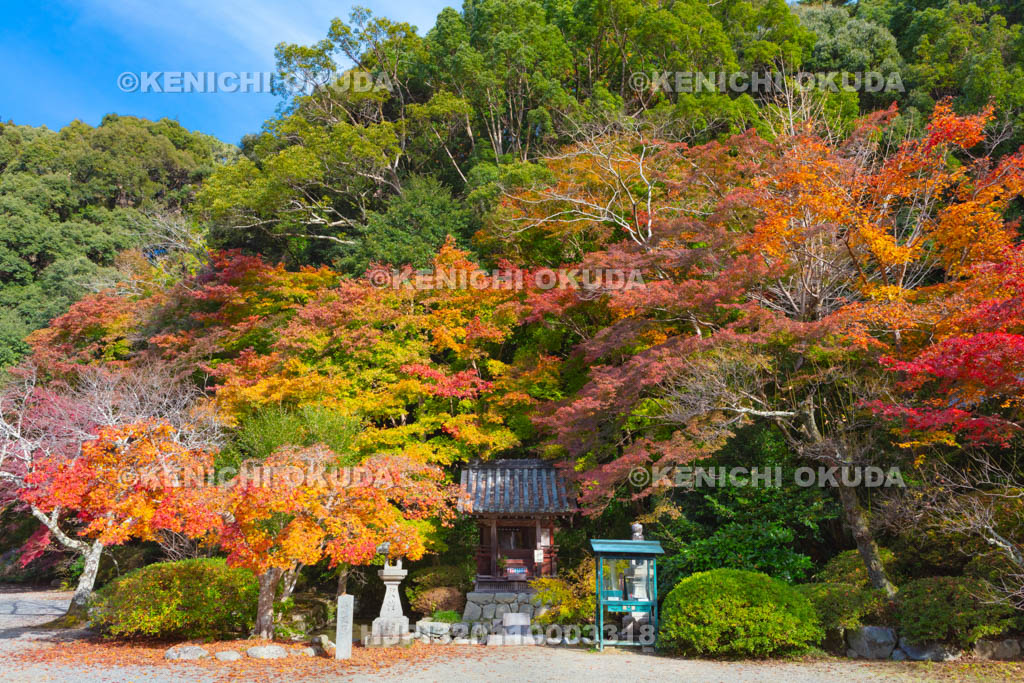 大阪府　紅葉の観心寺　弁天堂