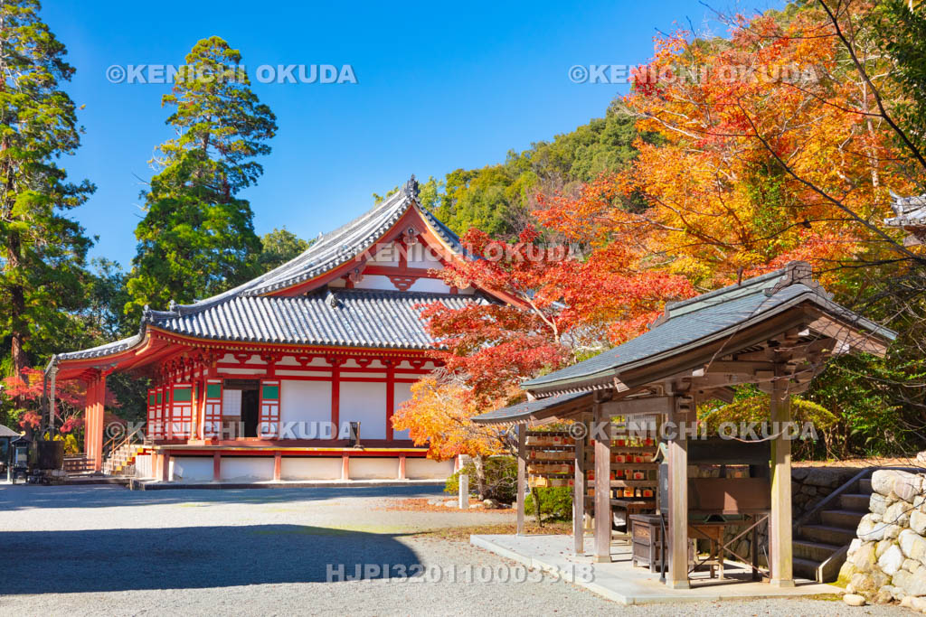 大阪府　紅葉の観心寺　金堂