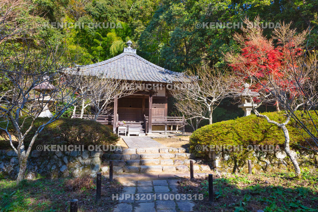 大阪府　紅葉の観心寺　牛滝堂