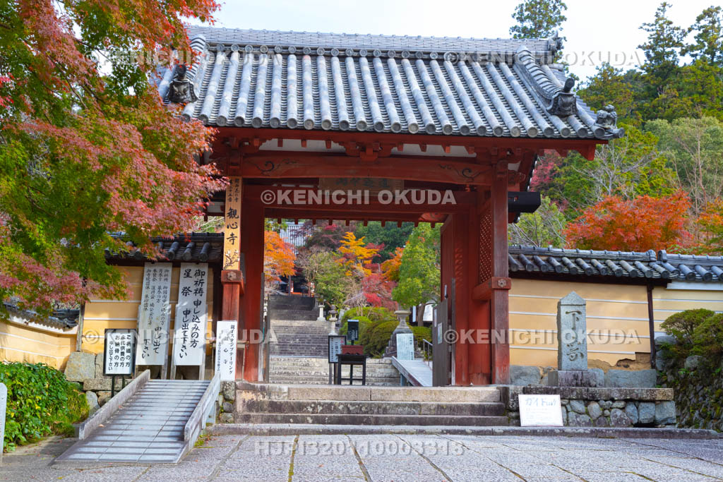 大阪府　紅葉の観心寺　山門