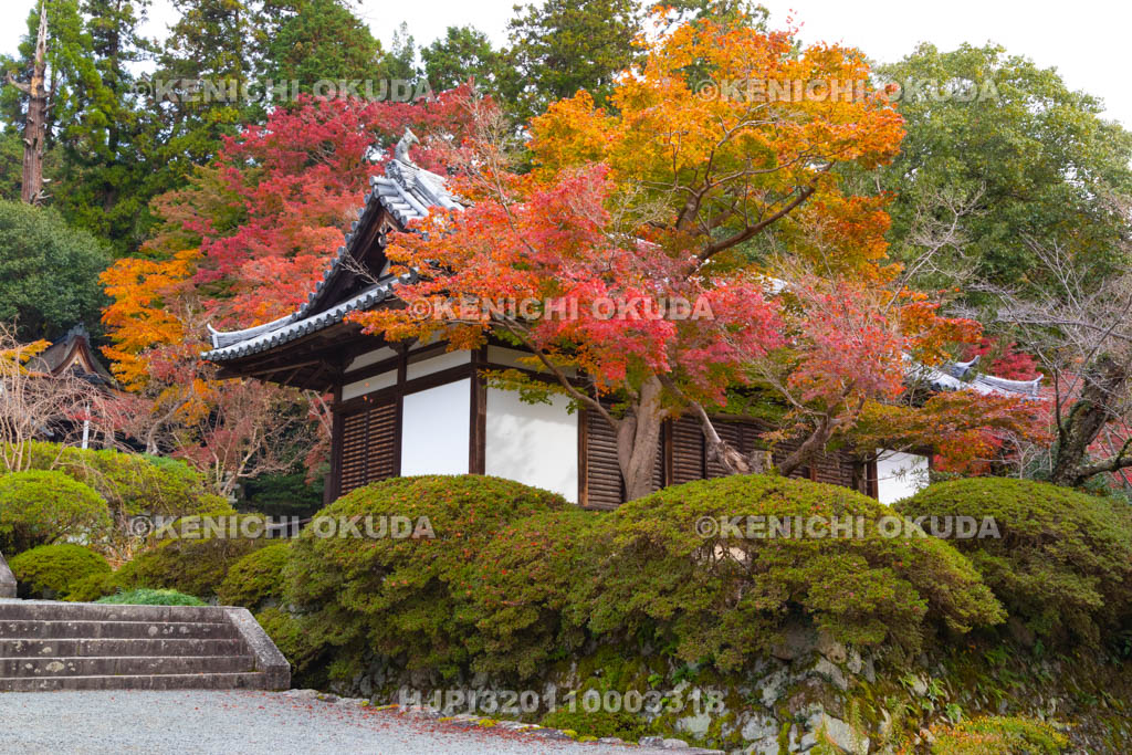 大阪府　紅葉の観心寺　拝殿