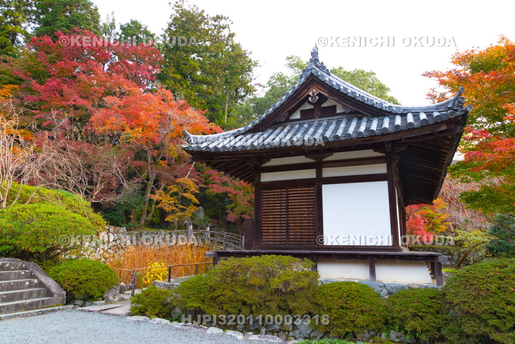 大阪府　紅葉の観心寺　拝殿