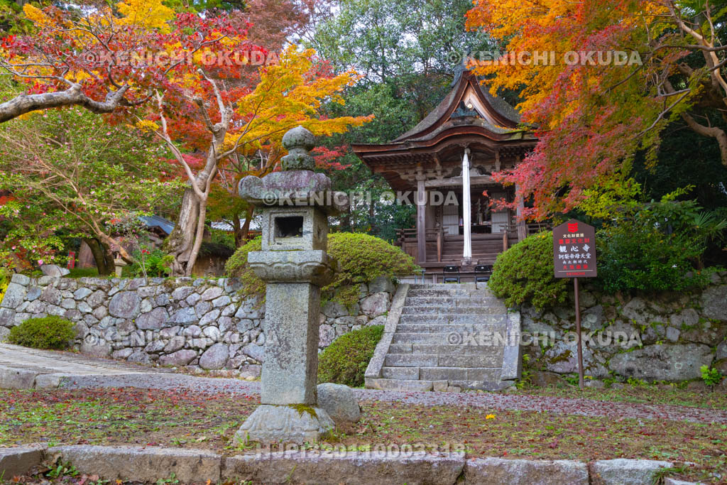 大阪府　紅葉の観心寺　鎮守堂（訶梨帝母天堂）