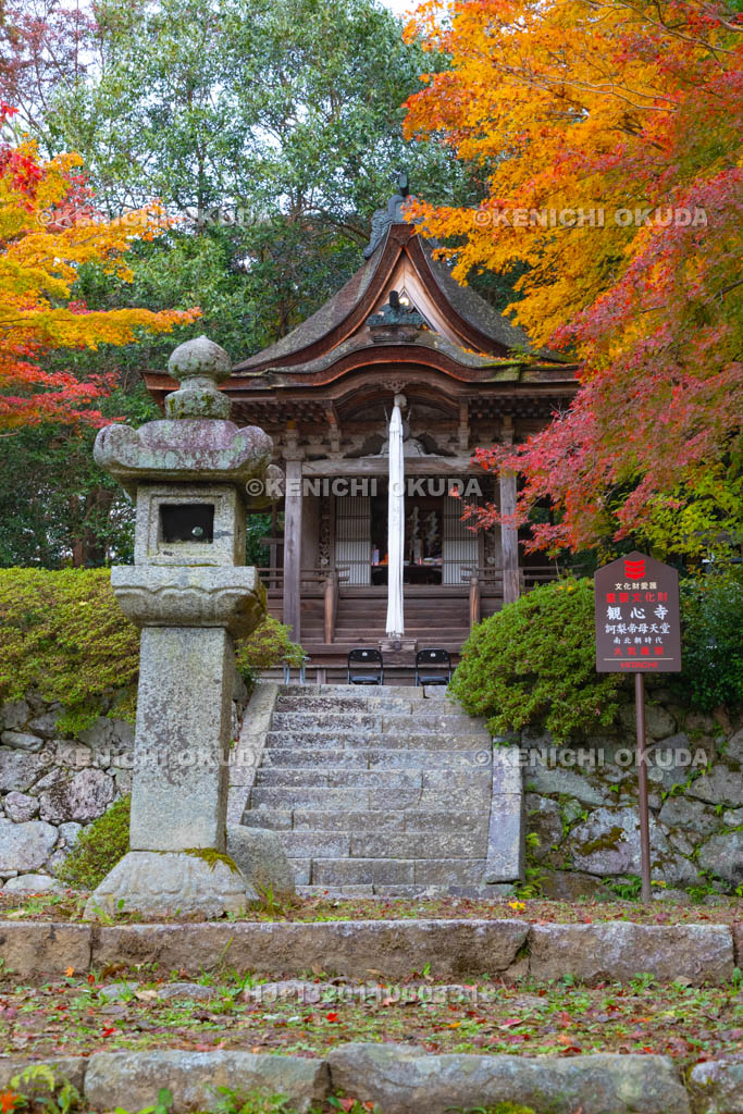 大阪府　紅葉の観心寺　鎮守堂（訶梨帝母天堂）