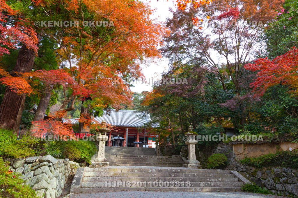 大阪府　紅葉の観心寺