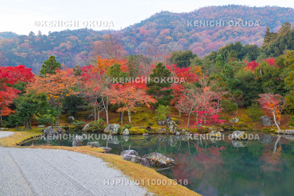 京都府　天龍寺　紅葉の曹源池庭園