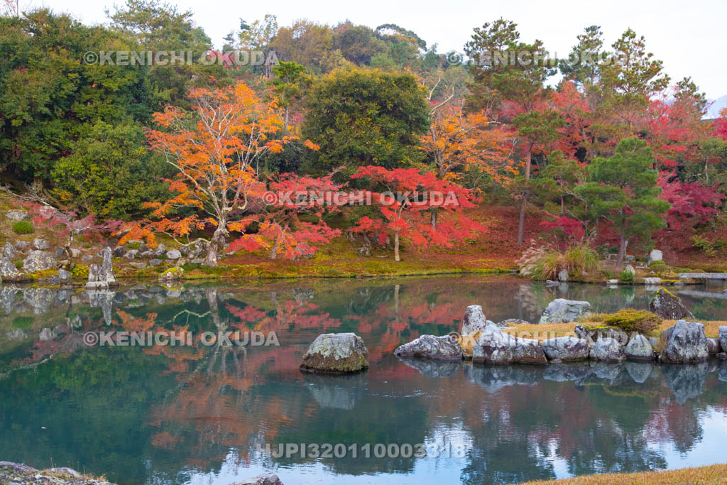 京都府 天龍寺 紅葉の曹源池庭園