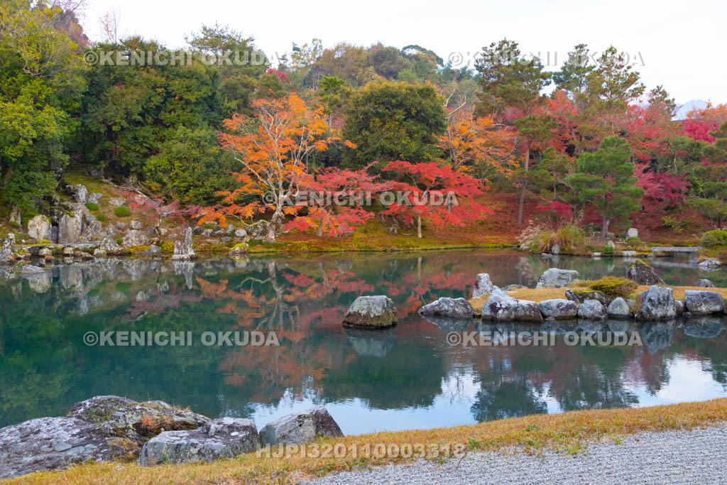 京都府　天龍寺　紅葉の曹源池庭園