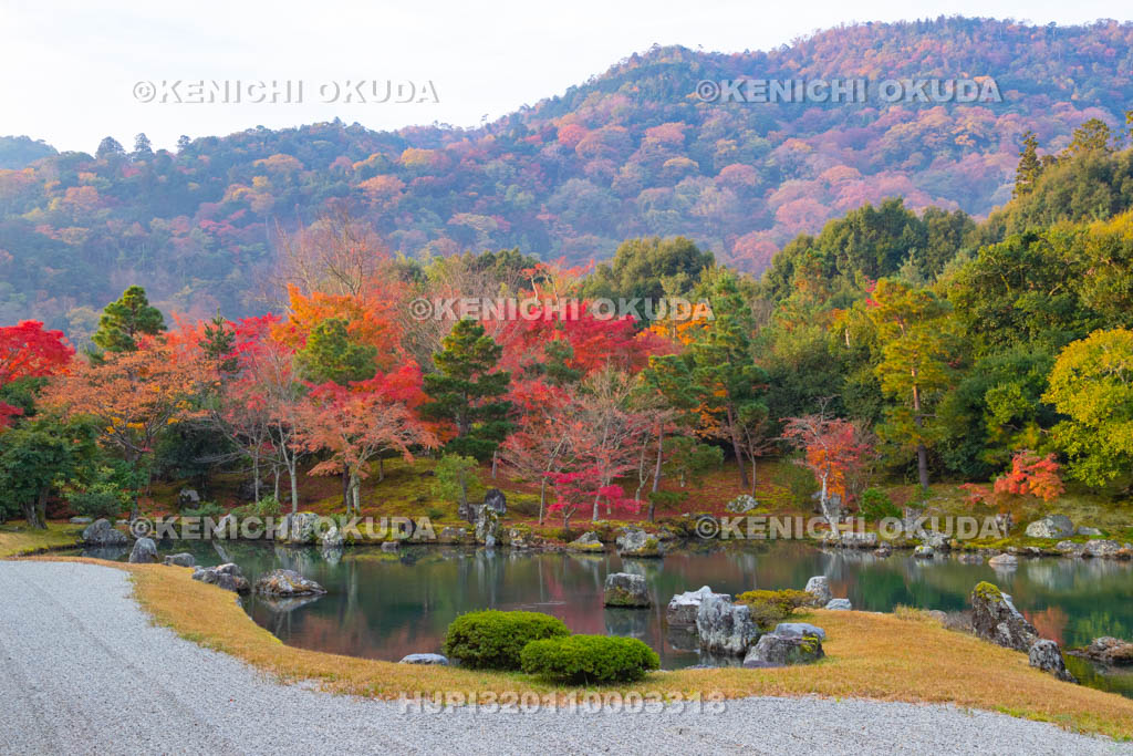 京都府　天龍寺　紅葉の曹源池庭園