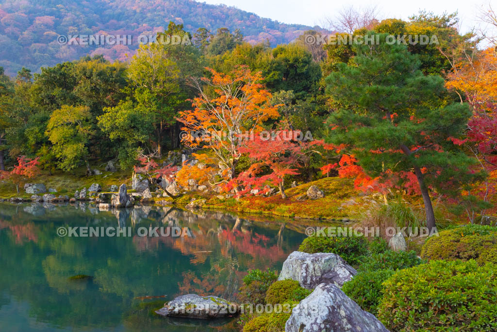 京都府 天龍寺 紅葉の曹源池庭園
