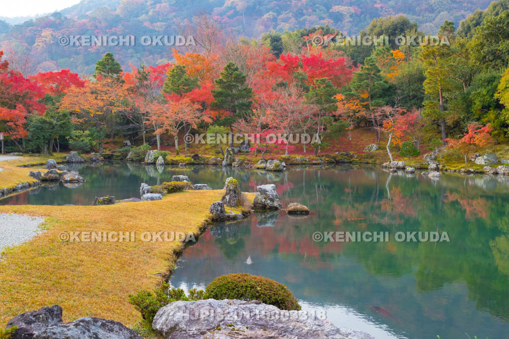 京都府　天龍寺　紅葉の曹源池庭園