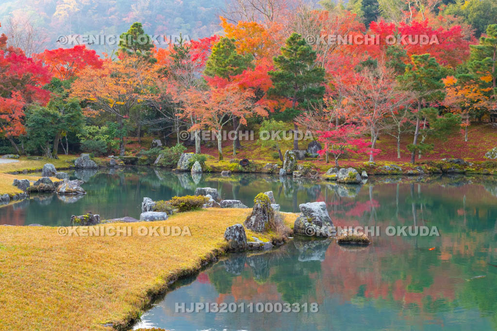 京都府　天龍寺　紅葉の曹源池庭園