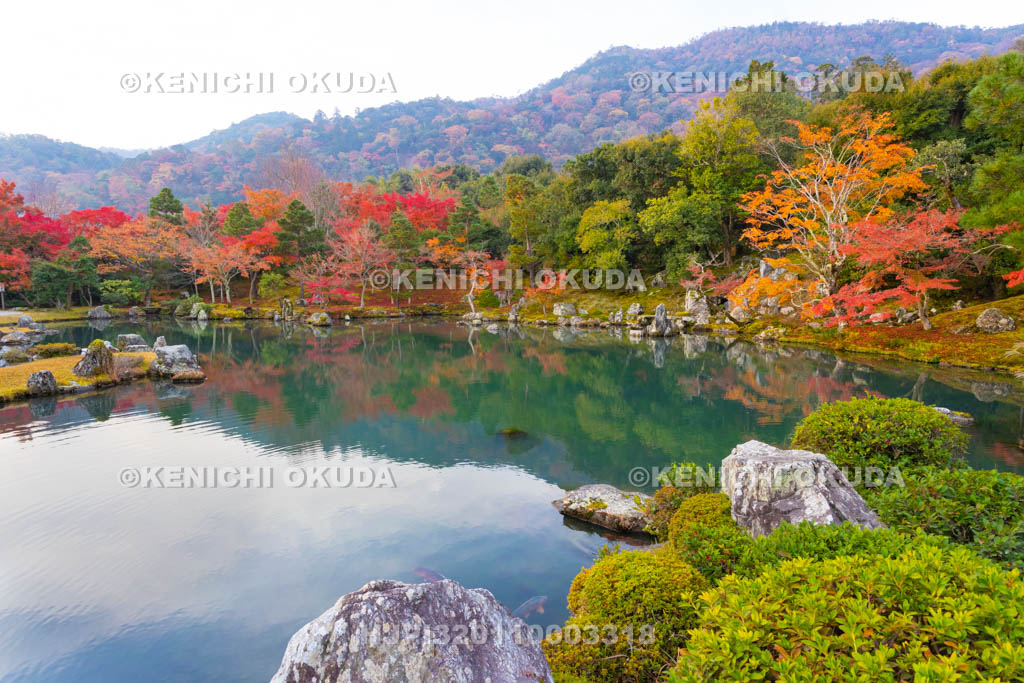 京都府　天龍寺　紅葉の曹源池庭園