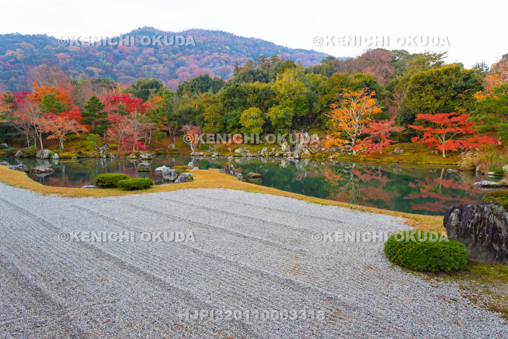 京都府 天龍寺 紅葉の曹源池庭園