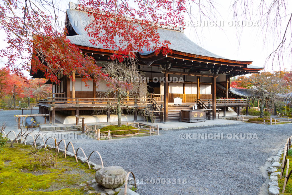 京都府　天龍寺　紅葉の多宝殿