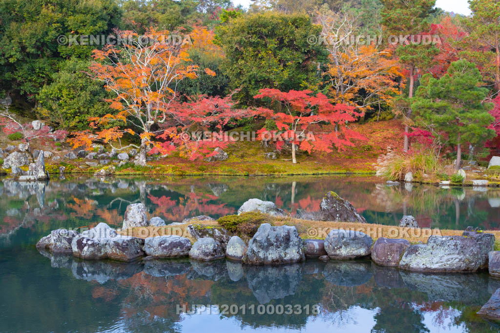 京都府　天龍寺　紅葉の曹源池庭園
