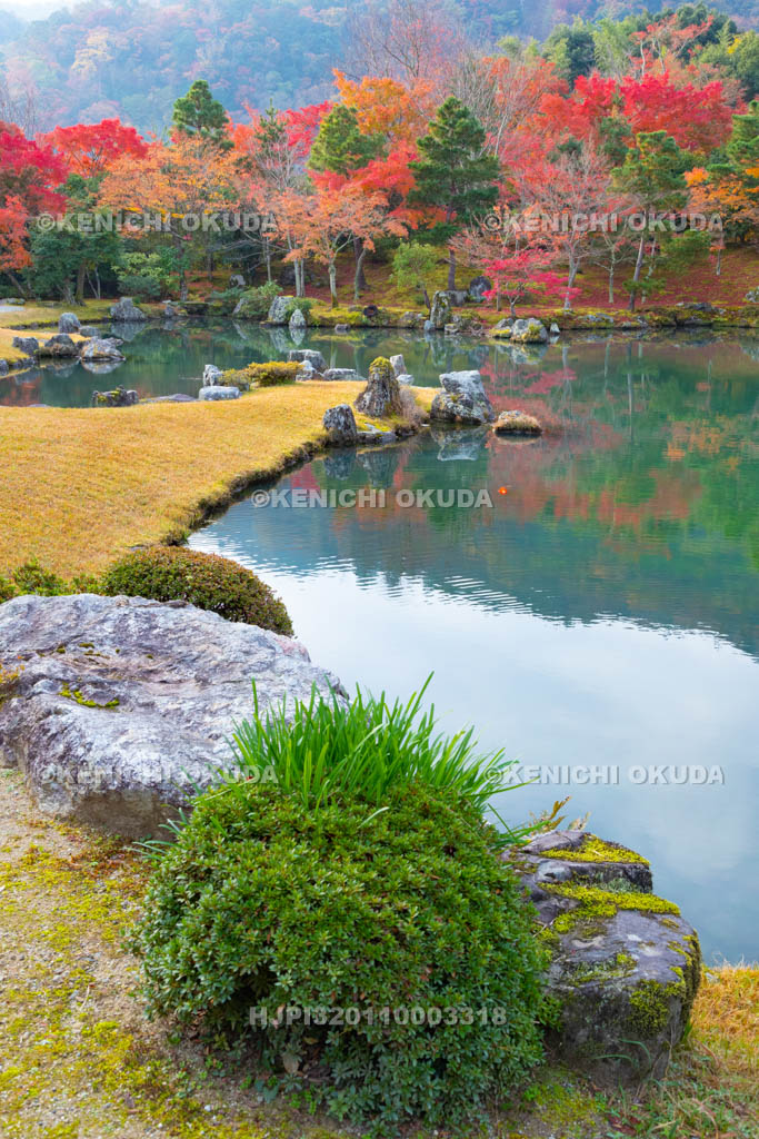 京都府 天龍寺 紅葉の曹源池庭園
