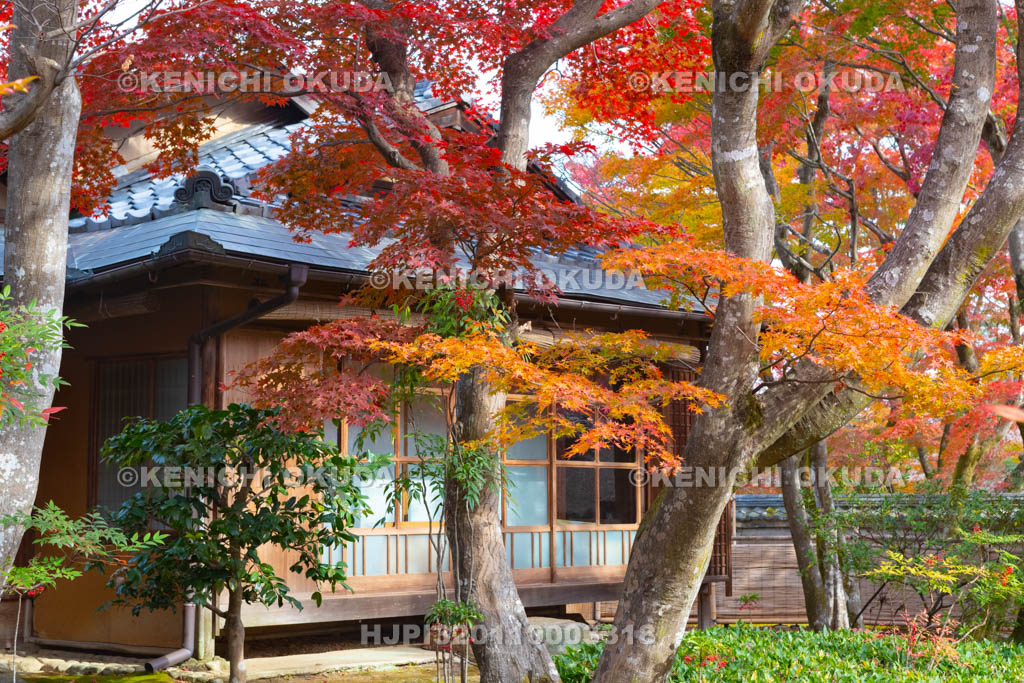 京都府　宝厳院の紅葉　書院