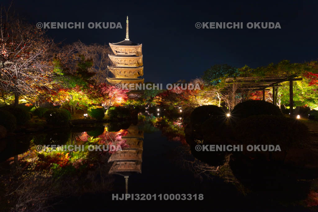 京都府　東寺の紅葉ライトアップ