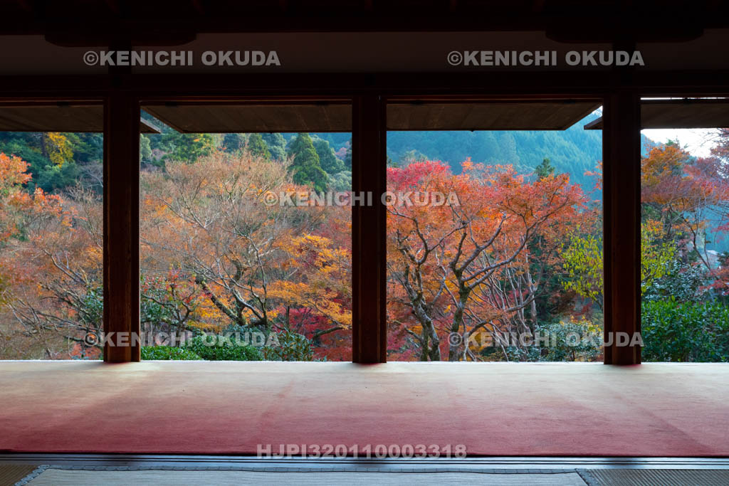 京都府　秋の高山寺　石水院