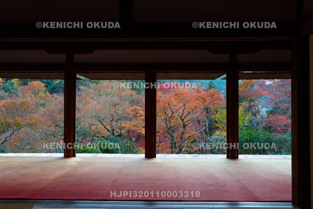 京都府　秋の高山寺　石水院