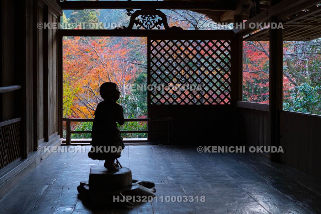 京都府　秋の高山寺　石水院