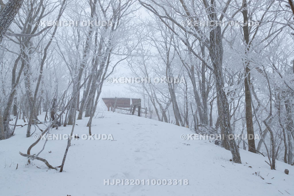 和歌山県　雪の護摩壇山　山頂付近