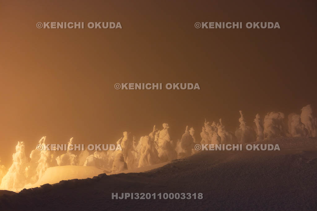 山形県　蔵王の樹氷ライトアップ