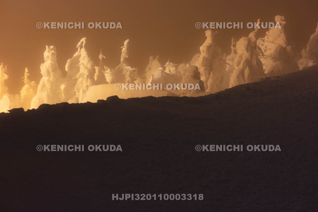 山形県　蔵王の樹氷ライトアップ