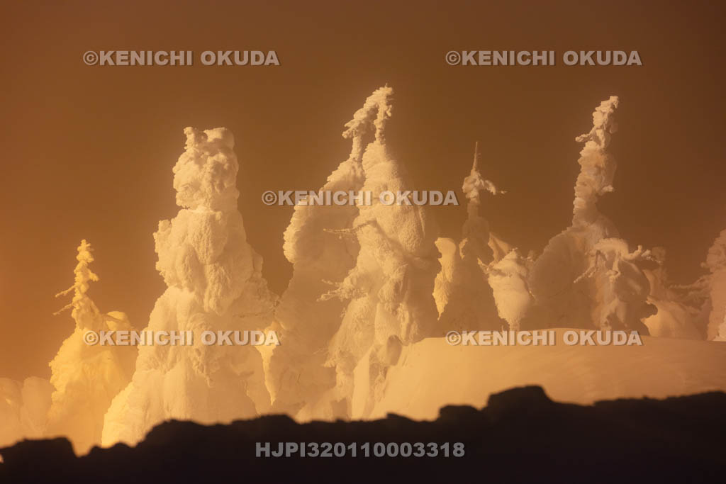 山形県　蔵王の樹氷ライトアップ