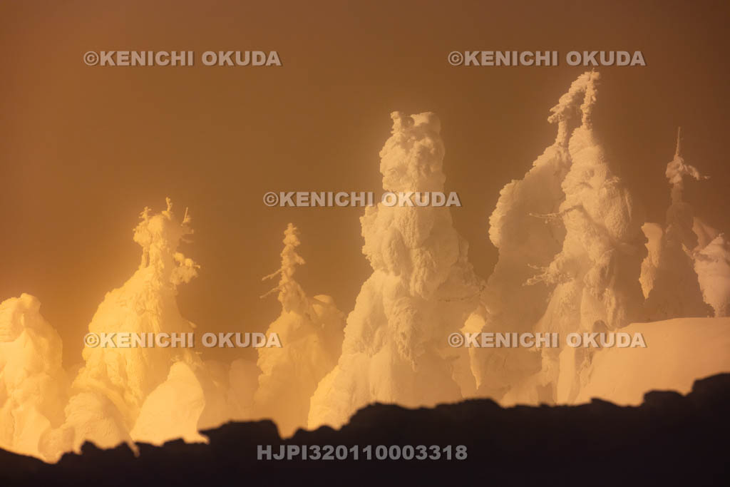 山形県　蔵王の樹氷ライトアップ