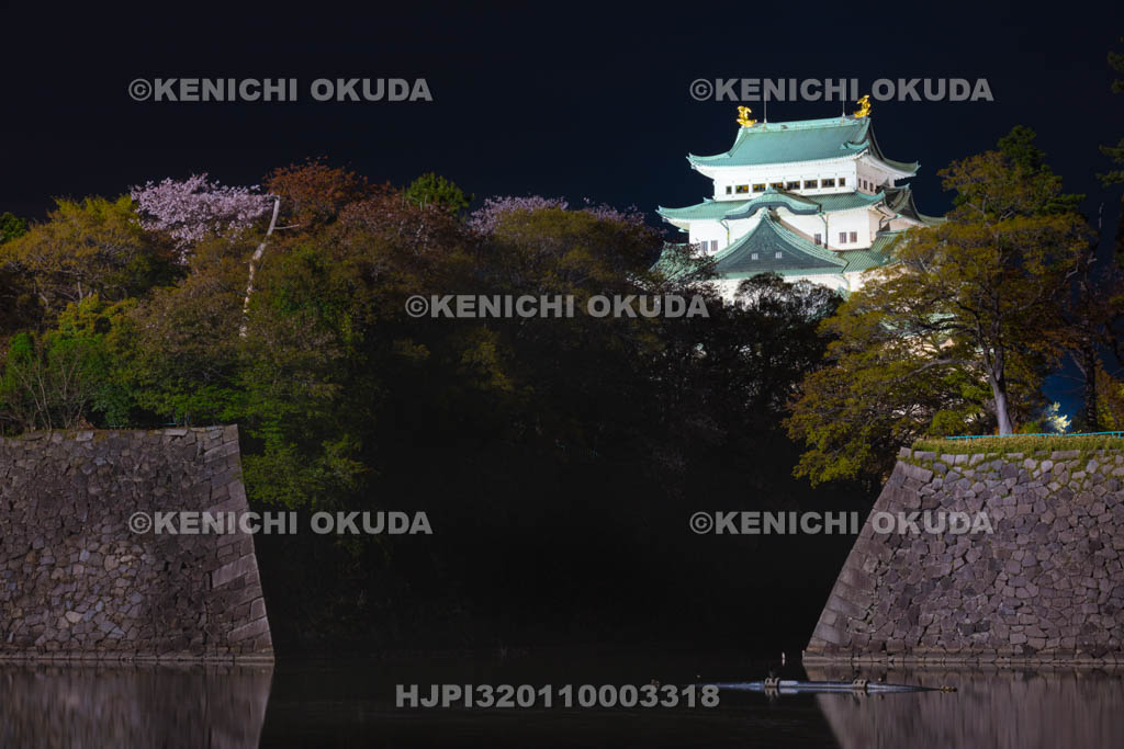 愛知県　名古屋城の夜景
