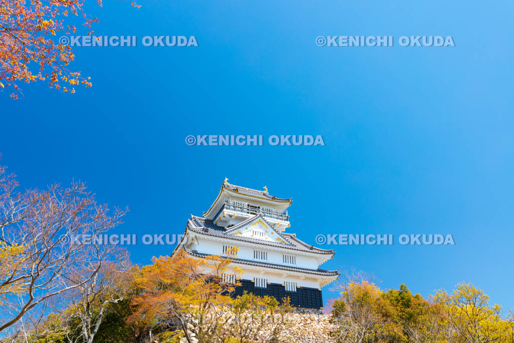 岐阜県　岐阜城