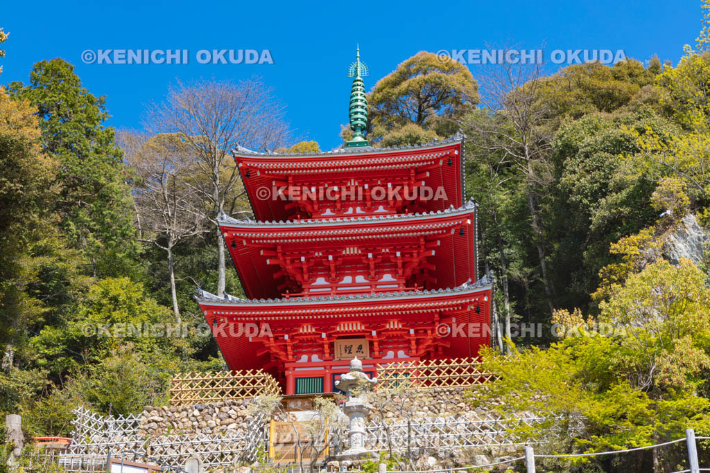 岐阜県　岐阜公園　三重塔