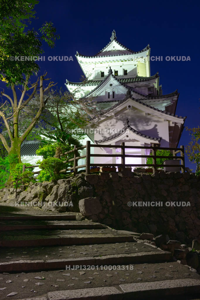 岐阜県　大垣城の夜景