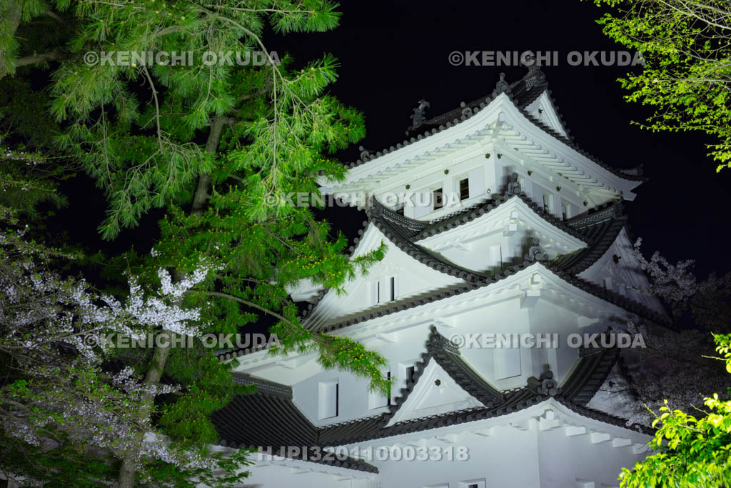 岐阜県　大垣城の夜景