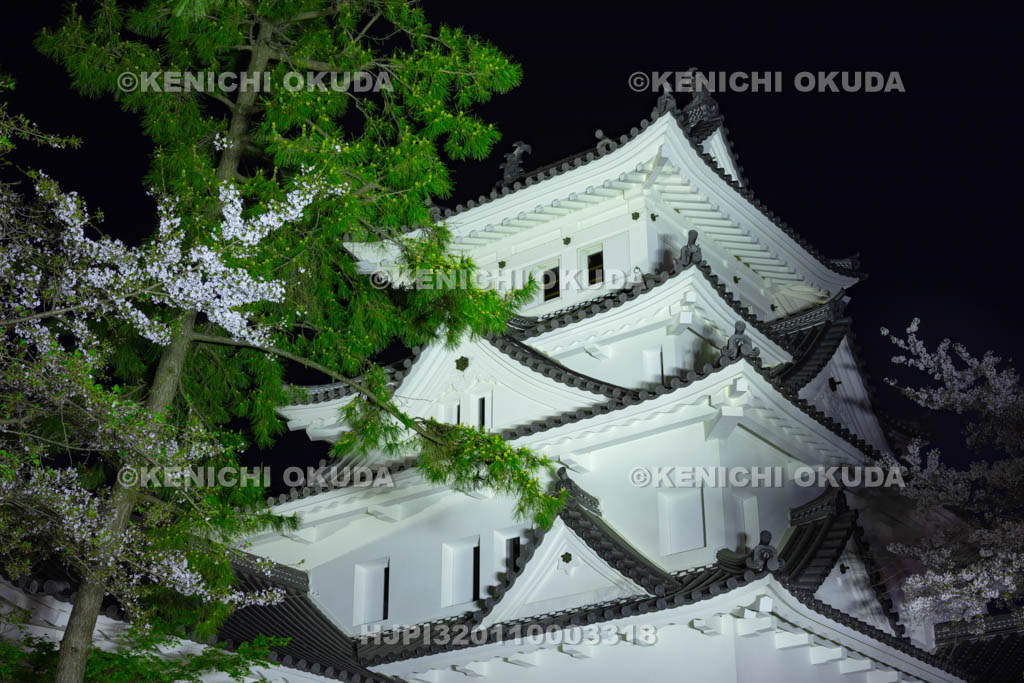 岐阜県　大垣城の夜景