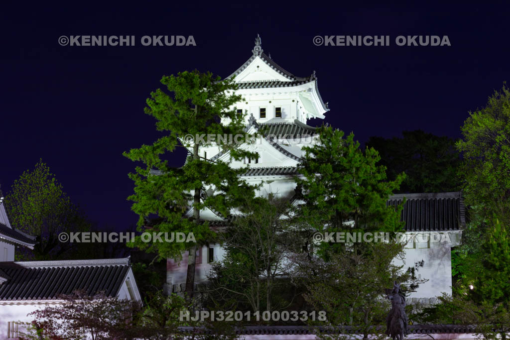 岐阜県　大垣城の夜景