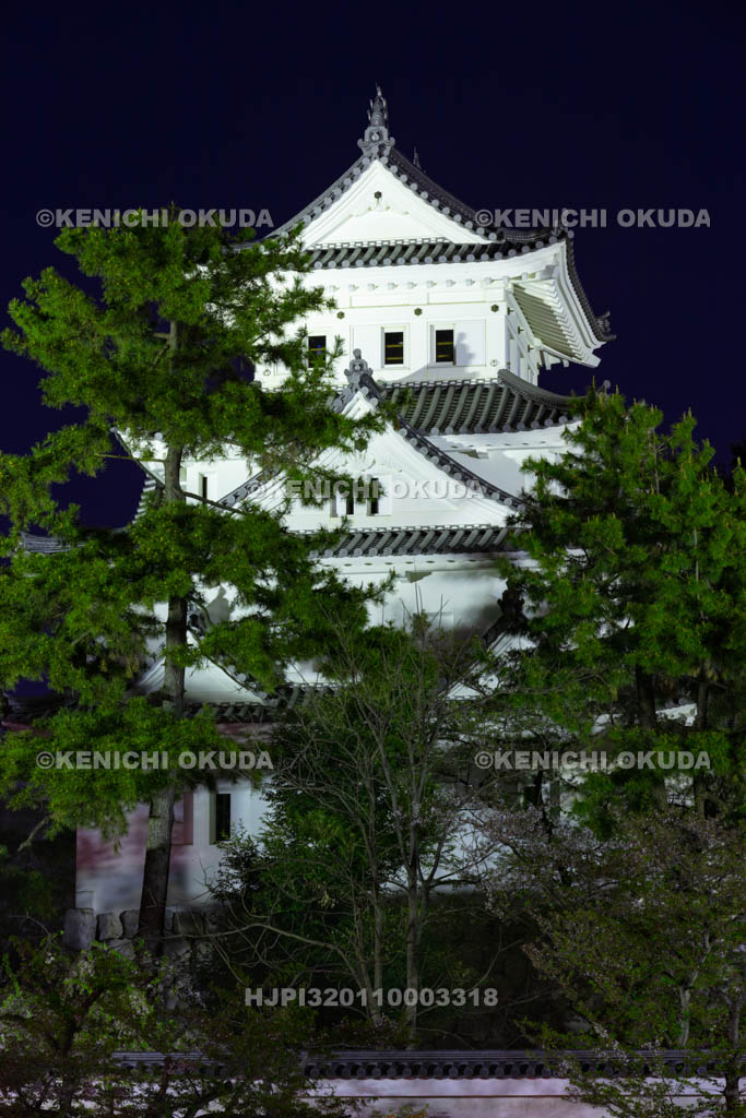 岐阜県　大垣城の夜景