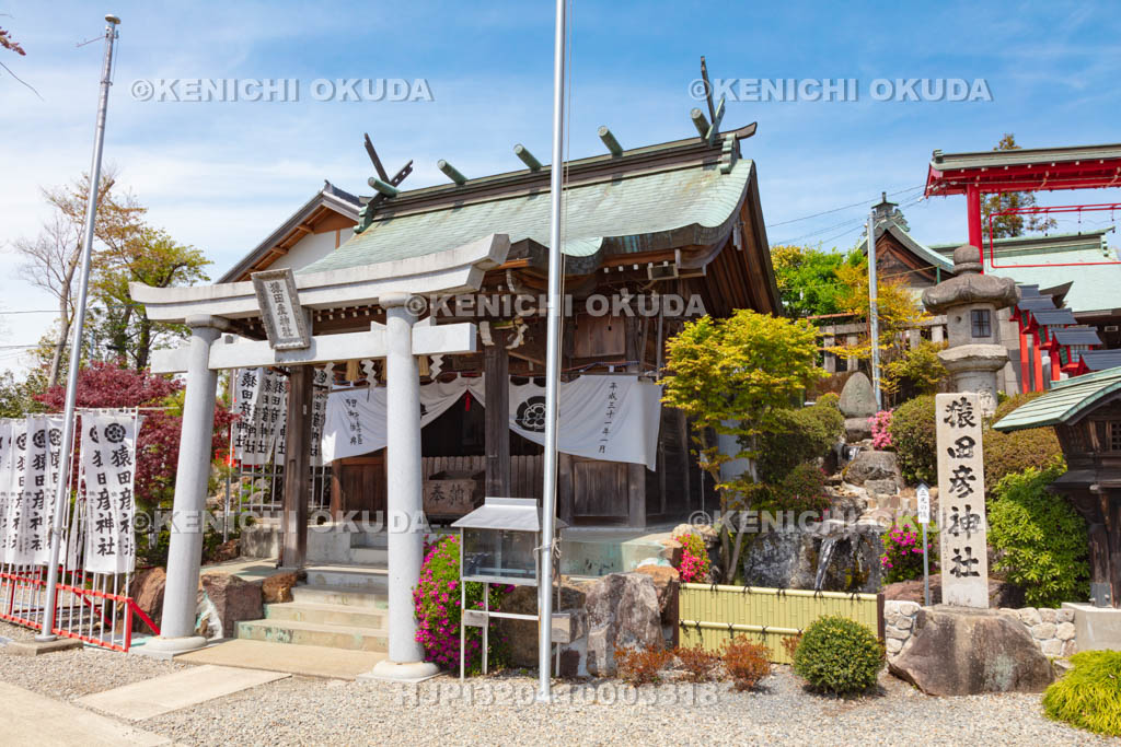 愛知県 犬山 猿田彦神社 本殿
