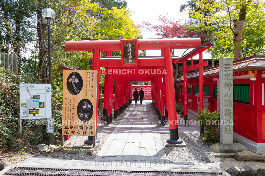 愛知県 犬山 三光稲荷神社 参道