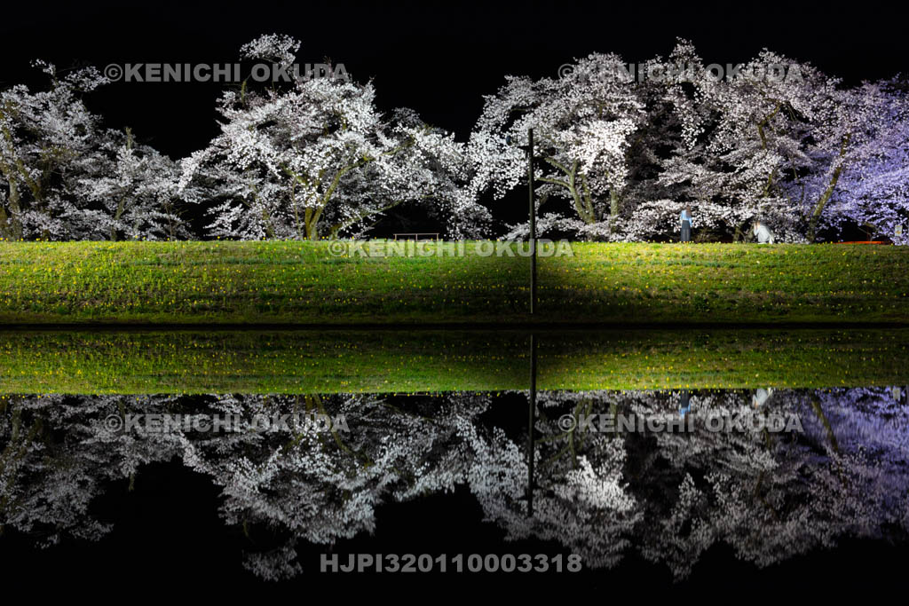 岐阜県　御所桜の夜景