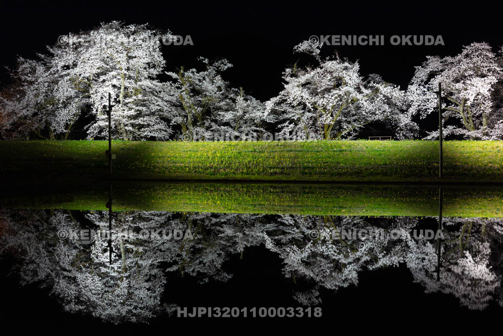 岐阜県　御所桜の夜景