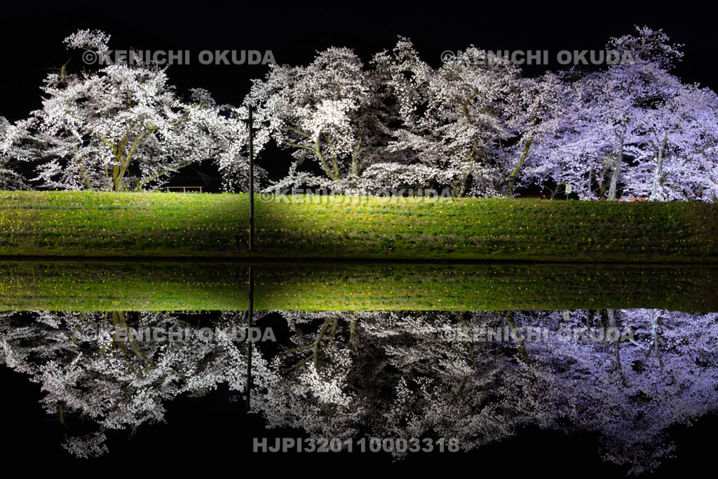 岐阜県　御所桜の夜景