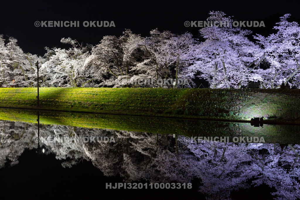 岐阜県　御所桜の夜景