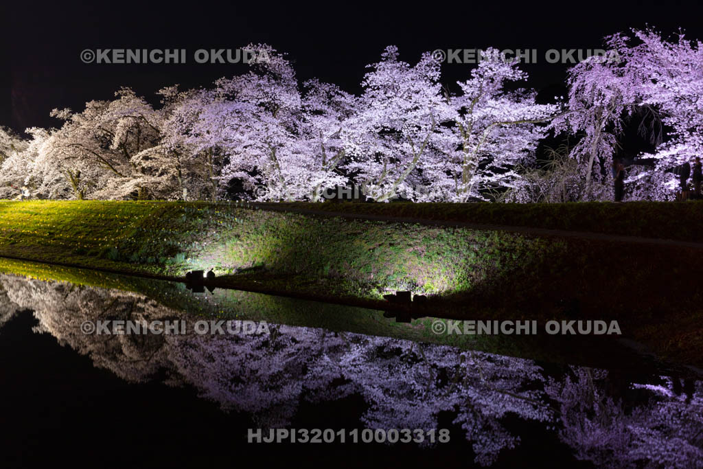岐阜県　御所桜の夜景