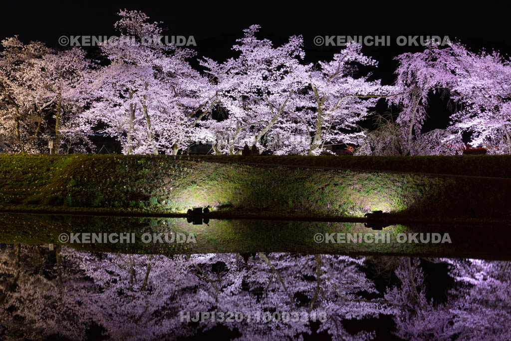岐阜県　御所桜の夜景