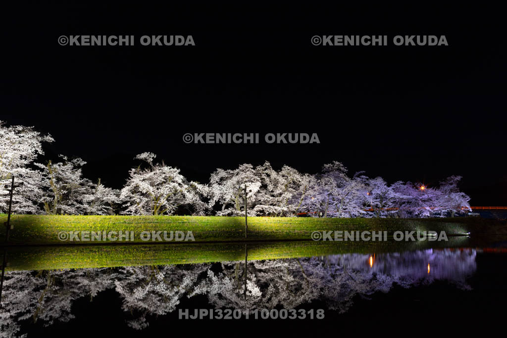 岐阜県　御所桜の夜景
