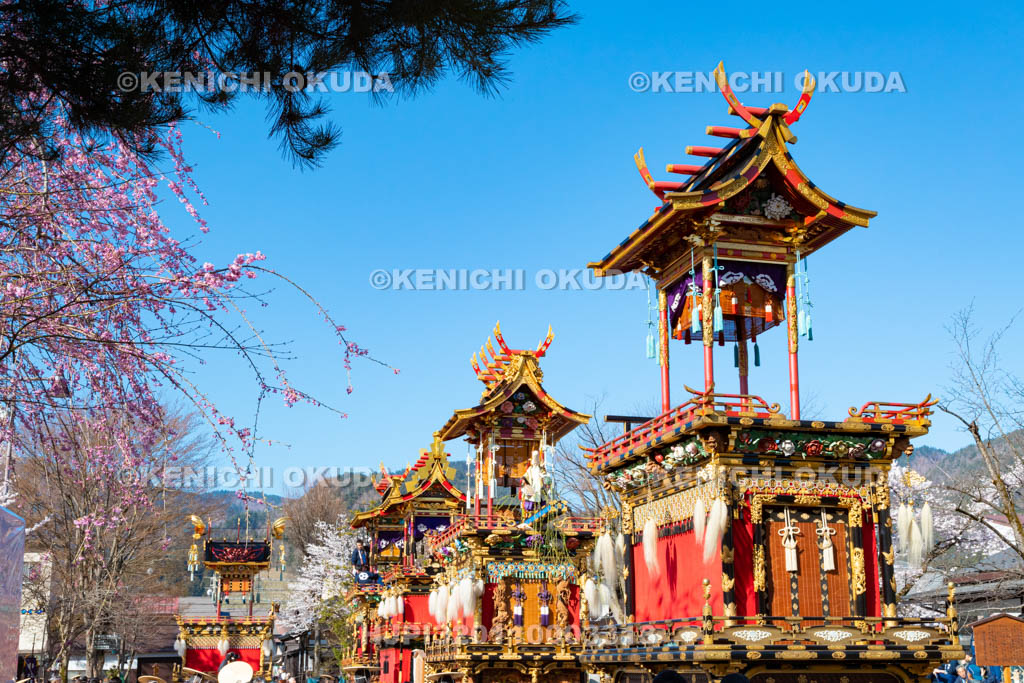 岐阜県　古川祭　まつり広場の屋台曳き揃え