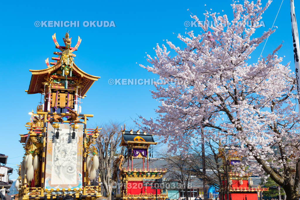 岐阜県　古川祭　まつり広場の屋台曳き揃え